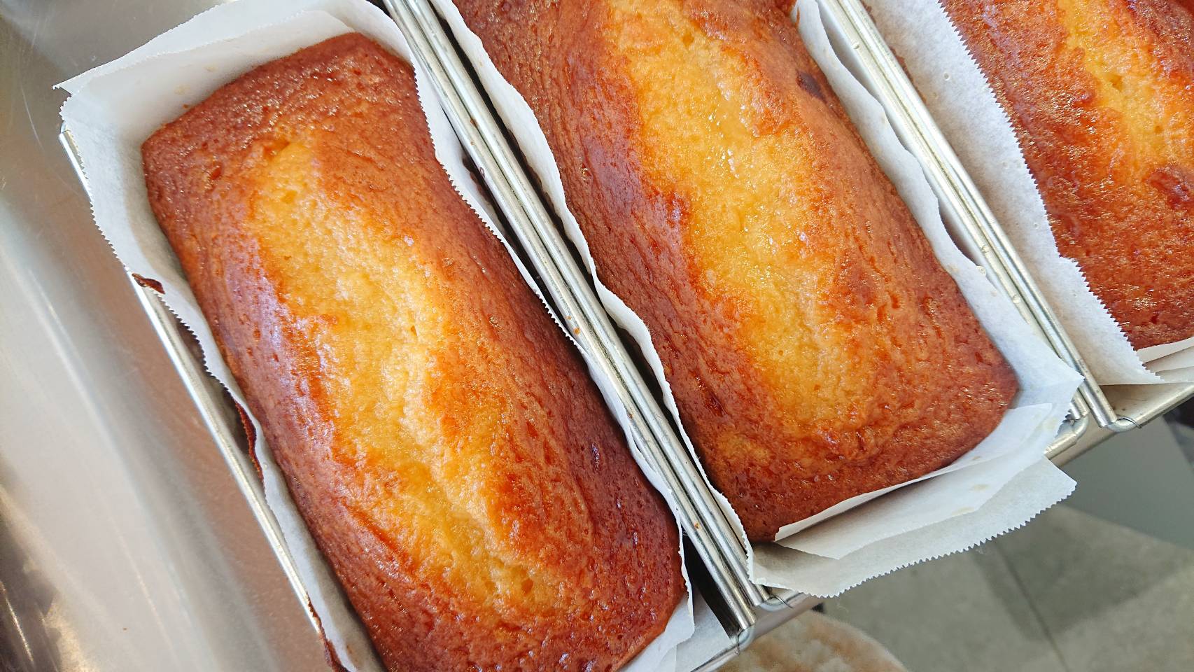 パンさん専用 2099.jpg