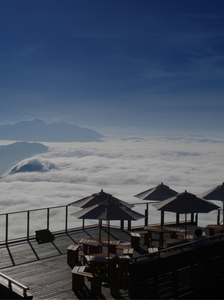 SORA terrace cafe