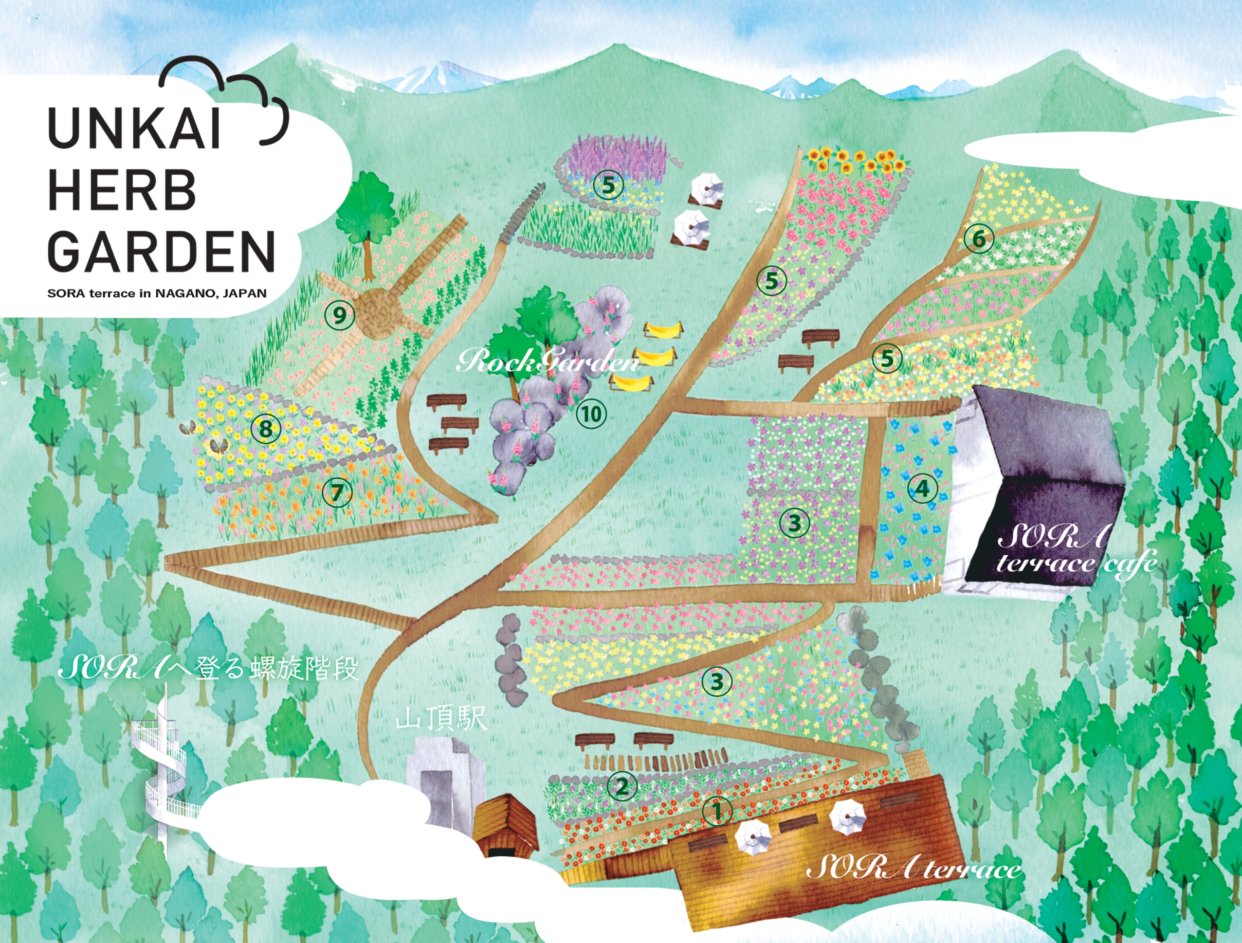 ハーブガーデンと高山植物を楽しめる「雲海ハーブガーデン」 - 竜王
